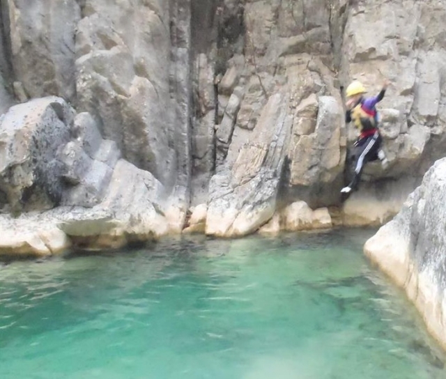 Al agua patos